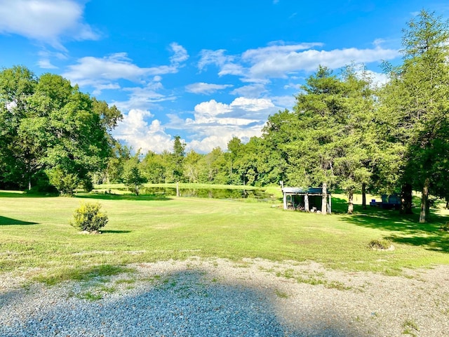 3601 Palestine Rd, Warm Springs, AR 72478 - surrounding community with a lawn