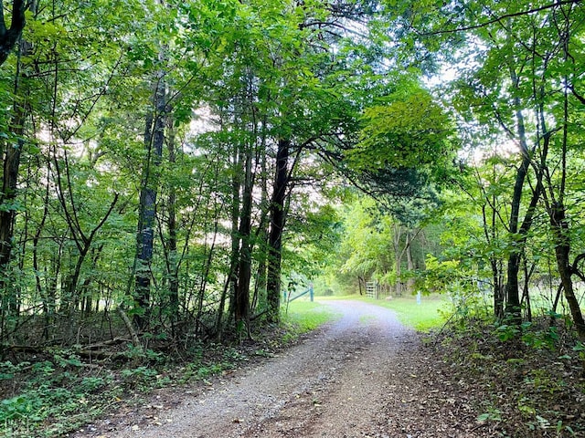 3601 Palestine Rd, Warm Springs, AR 72478 - view of road featuring a view of trees