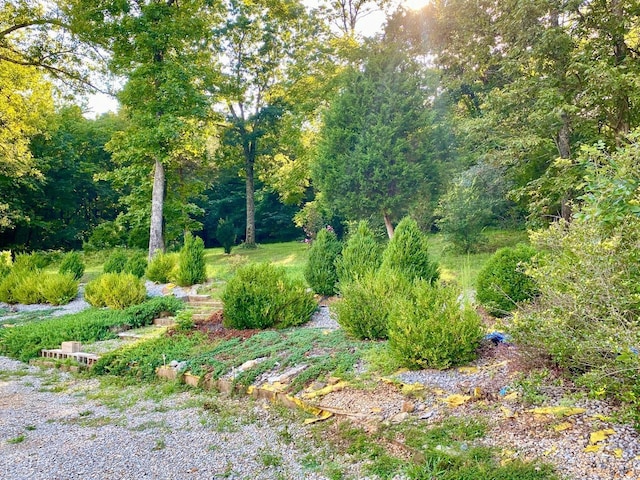 3601 Palestine Rd, Warm Springs, AR 72478 - view of landscape