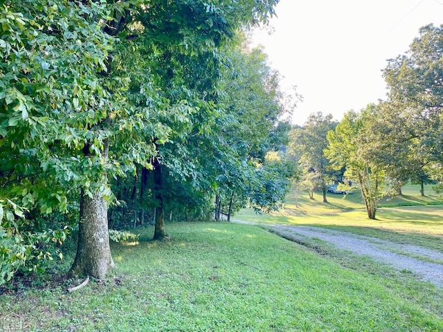 3601 Palestine Rd, Warm Springs, AR 72478 - view of yard