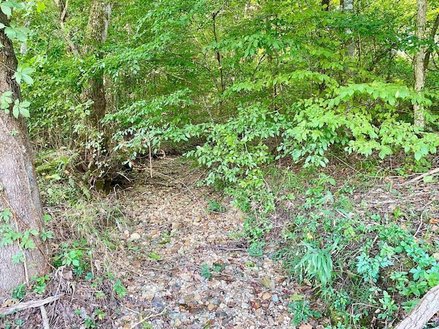 3601 Palestine Rd, Warm Springs, AR 72478 - view of landscape