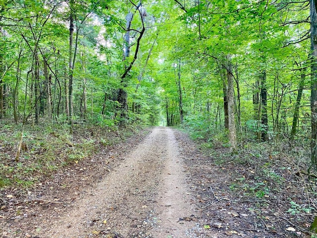 3601 Palestine Rd, Warm Springs, AR 72478 - view of road with a view of trees