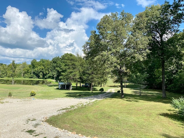 3601 Palestine Rd, Warm Springs, AR 72478 - surrounding community featuring a yard