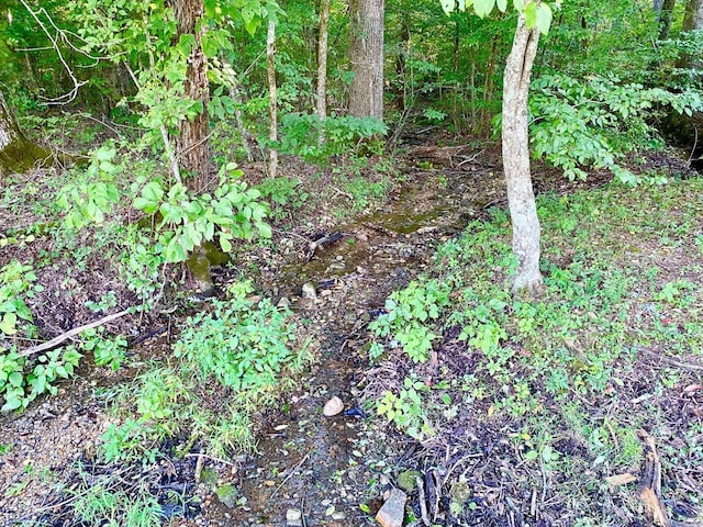 3601 Palestine Rd, Warm Springs, AR 72478 - view of nature