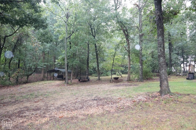 215 Greene 782 Rd, Paragould, AR 72450 - photo 42