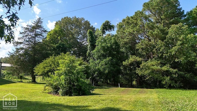 208 Law 262 Rd, Powhatan, AR 72458 - photo 42