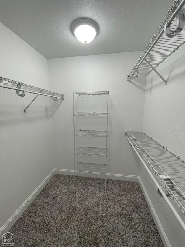 997 Russell Hill Dr, Jonesboro, AR 72404 - walk in closet featuring carpet flooring