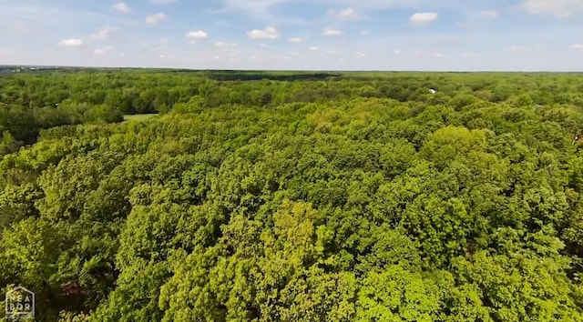 drone / aerial view of a forest