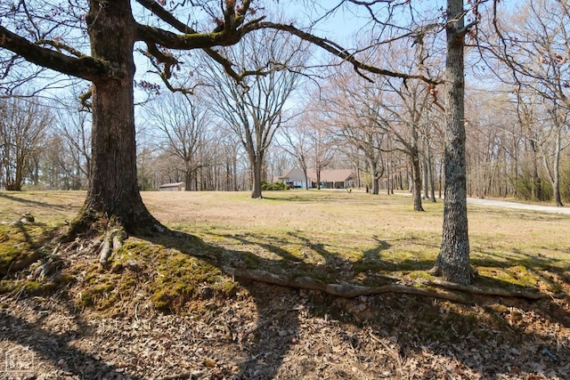 view of green lawn