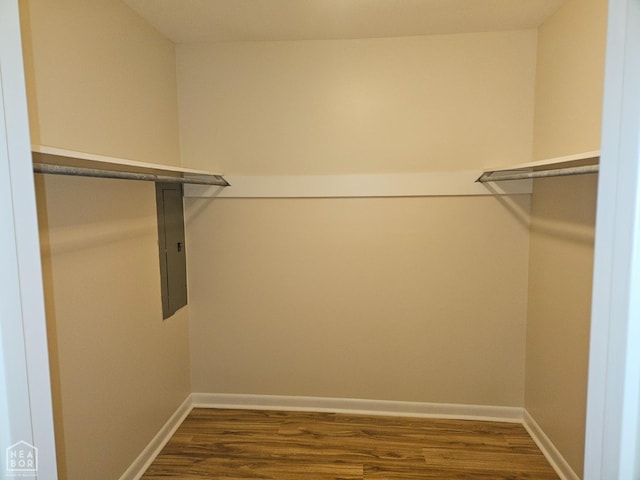 walk in closet featuring electric panel and dark wood-style flooring