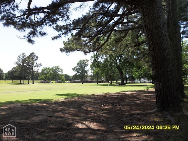 1 Country Club Rd, Newport, AR 72112 - photo 48