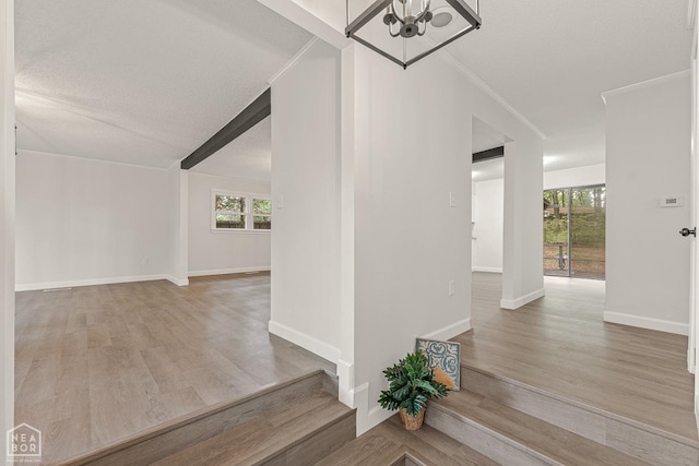 interior space featuring baseboards, an inviting chandelier, a textured ceiling, and wood finished floors