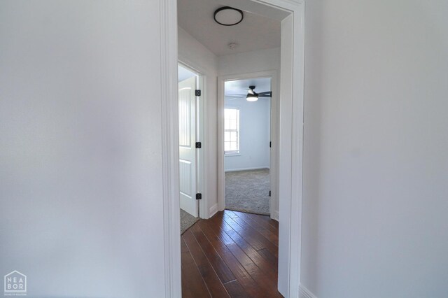 1203 Ryan Ln, Paragould, AR 72450