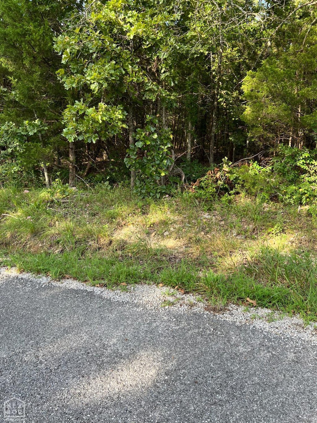 1220 Cedar Lake Dr, Horseshoe Bend, AR 72512 - photo 1