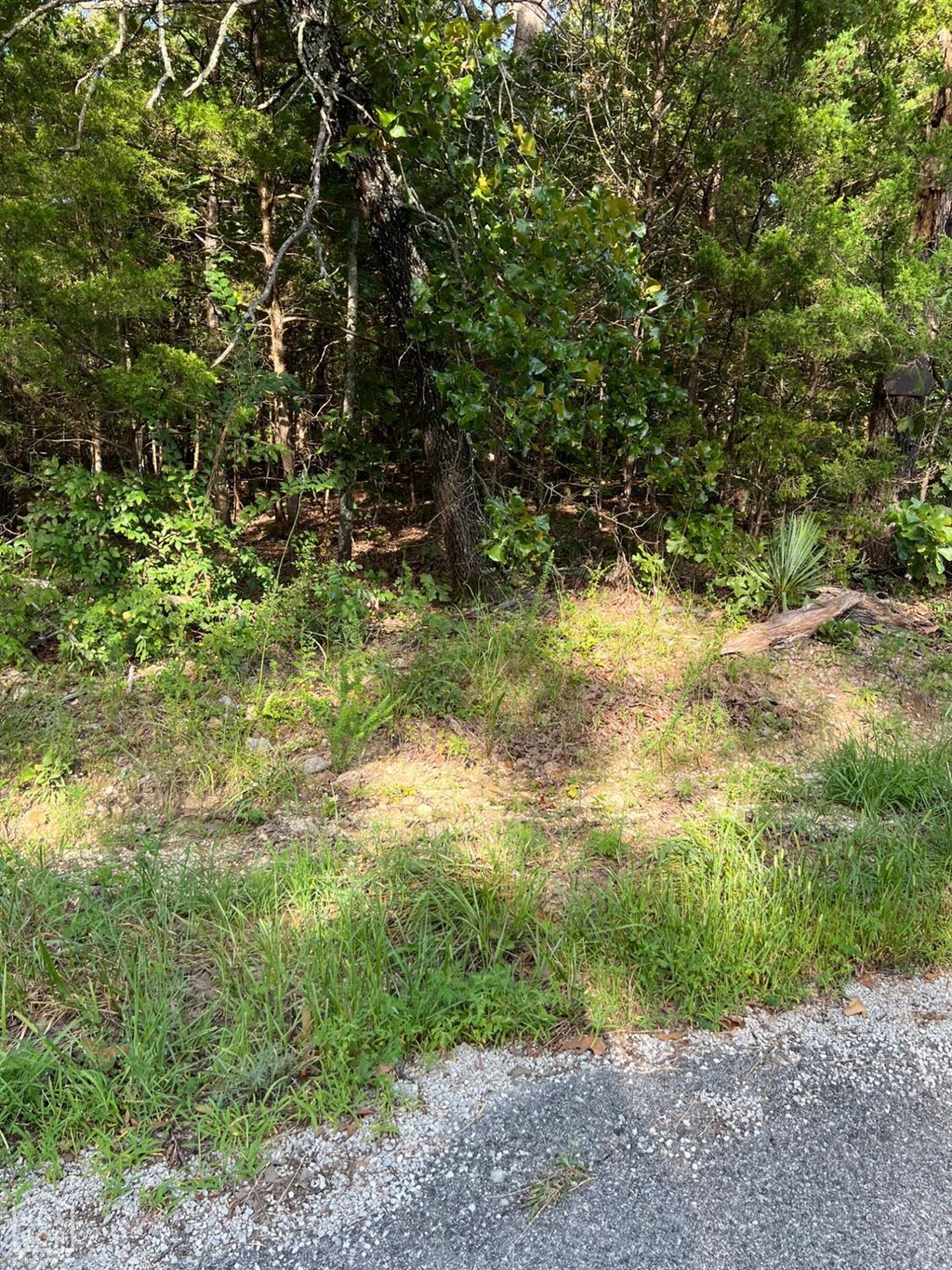 1220 Cedar Lake Dr, Horseshoe Bend, AR 72512 - photo 2