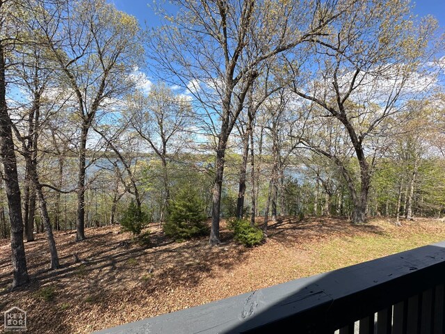 13534 Mc 8001, Yellville, AR 72687 - view of yard featuring a forest view