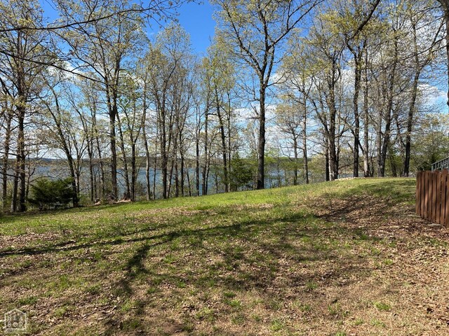 13534 Mc 8001, Yellville, AR 72687 - view of yard