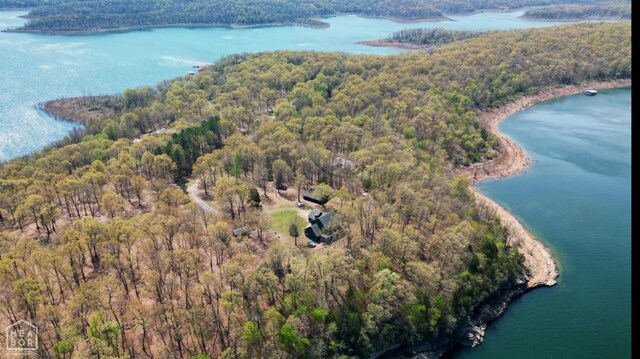 13534 Mc 8001, Yellville, AR 72687 - bird's eye view with a forest view and a water view