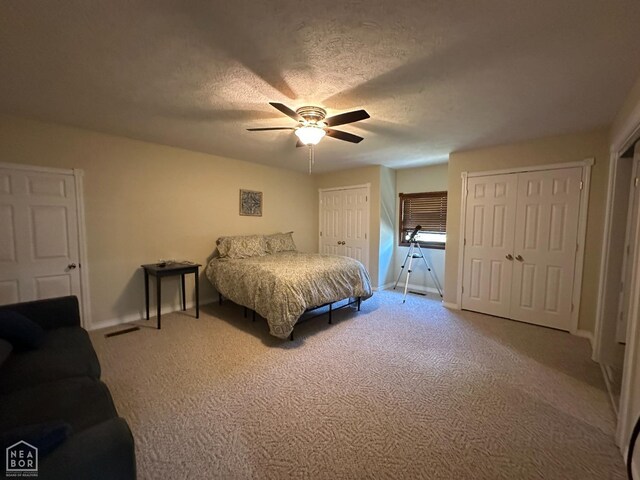 13534 Mc 8001, Yellville, AR 72687 - bedroom with light carpet, visible vents, baseboards, and multiple closets