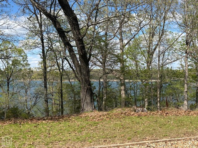 13534 Mc 8001, Yellville, AR 72687 - view of water feature