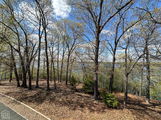 13534 Mc 8001, Yellville, AR 72687 - view of nature