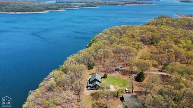 13534 Mc 8001, Yellville, AR 72687 - aerial view with a water view and a forest view