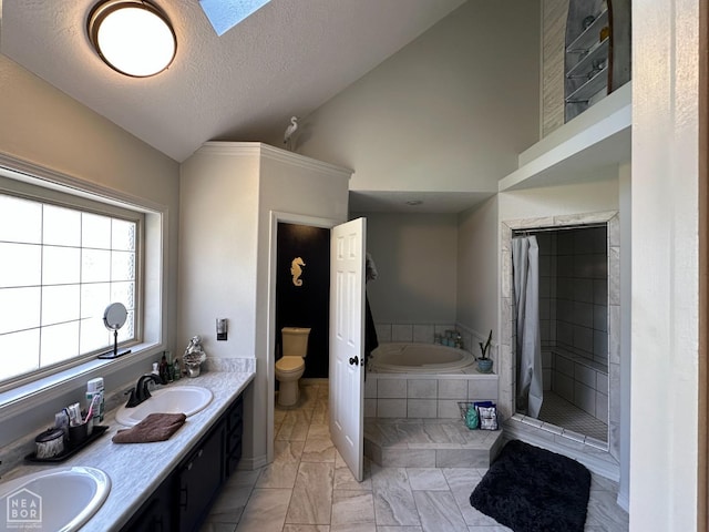 13534 Mc 8001, Yellville, AR 72687 - full bathroom featuring toilet, a textured ceiling, a garden tub, and a sink