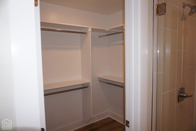 1804 N Oak St, Brookland, AR 72417 - walk in closet with dark wood-style flooring