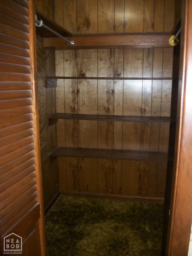 room details featuring wood walls and carpet