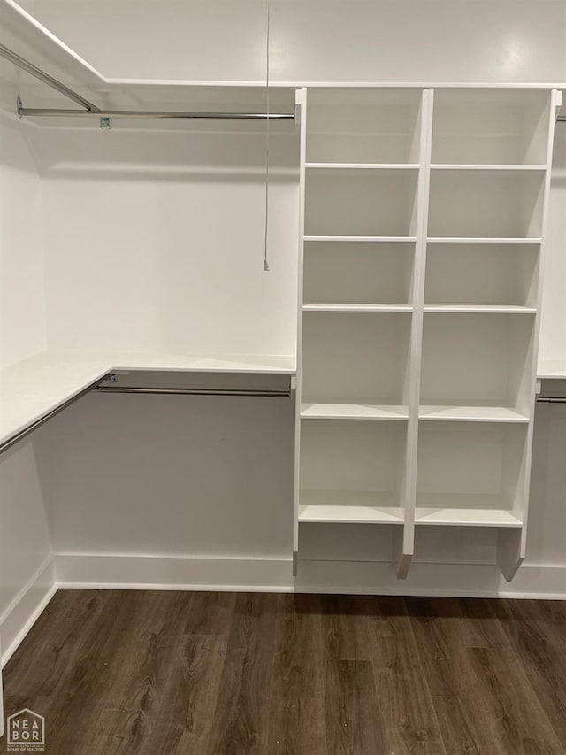 3502 Burdyshaw Dr Drive, Jonesboro, AR 72405 - spacious closet with dark wood-style flooring