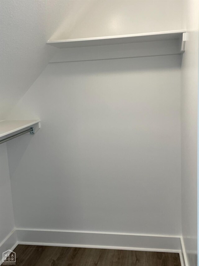 3502 Burdyshaw Dr Drive, Jonesboro, AR 72405 - spacious closet featuring vaulted ceiling and dark wood finished floors