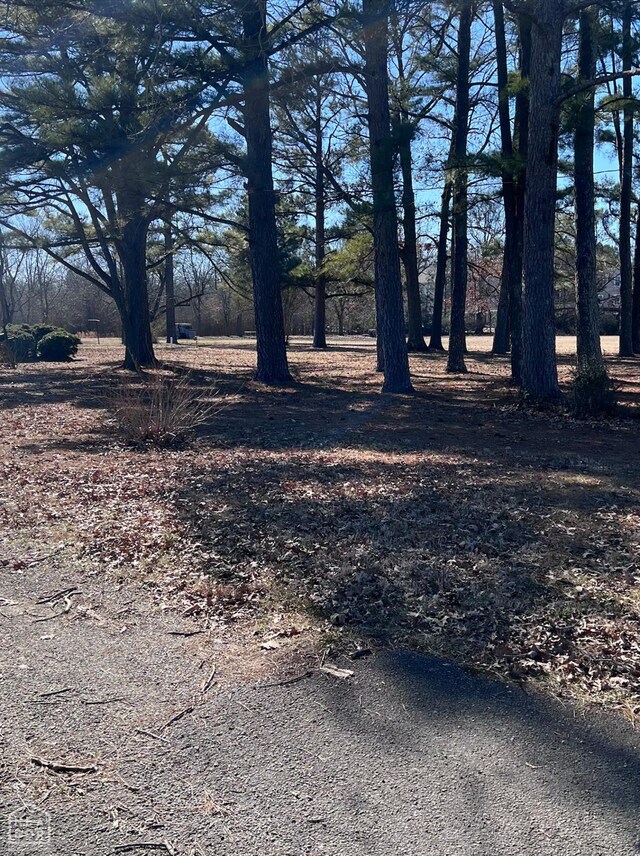 303 Daybreak Dr, Jonesboro, AR 72401 - photo 8