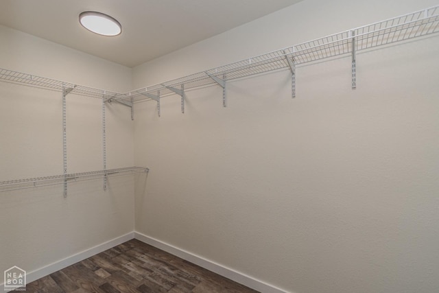 spacious closet with dark wood-style floors