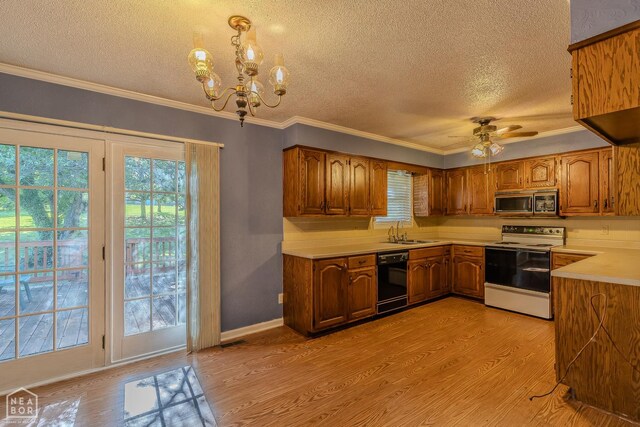 2101 Wildrose Ln, Paragould, AR 72450 - photo 5