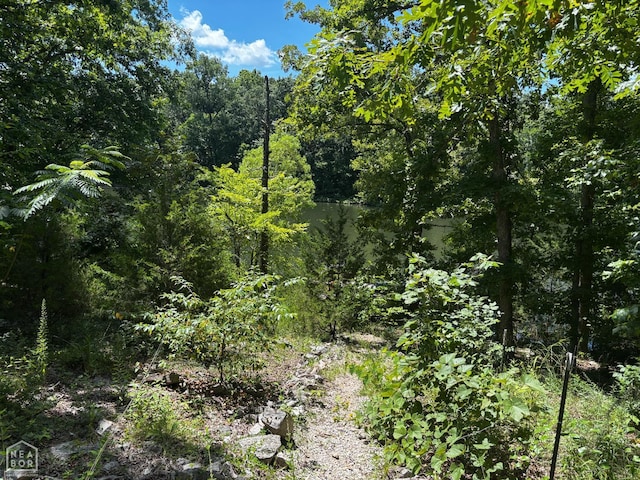 48 E Lakeshore Dr, Williford, AR 72482 - view of wooded area