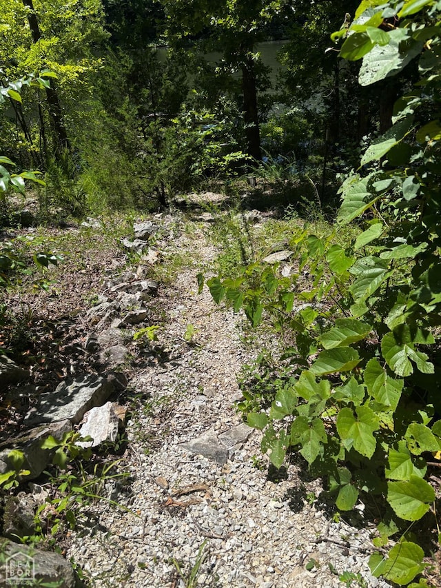 48 E Lakeshore Dr, Williford, AR 72482 - view of nature