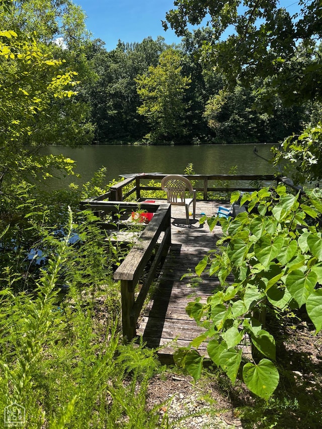 48 E Lakeshore Dr, Williford, AR 72482 - view of community featuring a water view