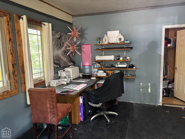 48 E Lakeshore Dr, Williford, AR 72482 - home office with ornamental molding