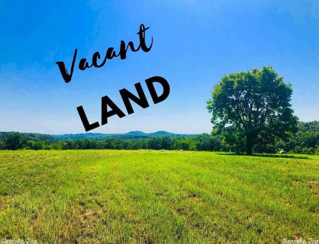 24915 Blue Gill, Roland AR, 72135 land for sale