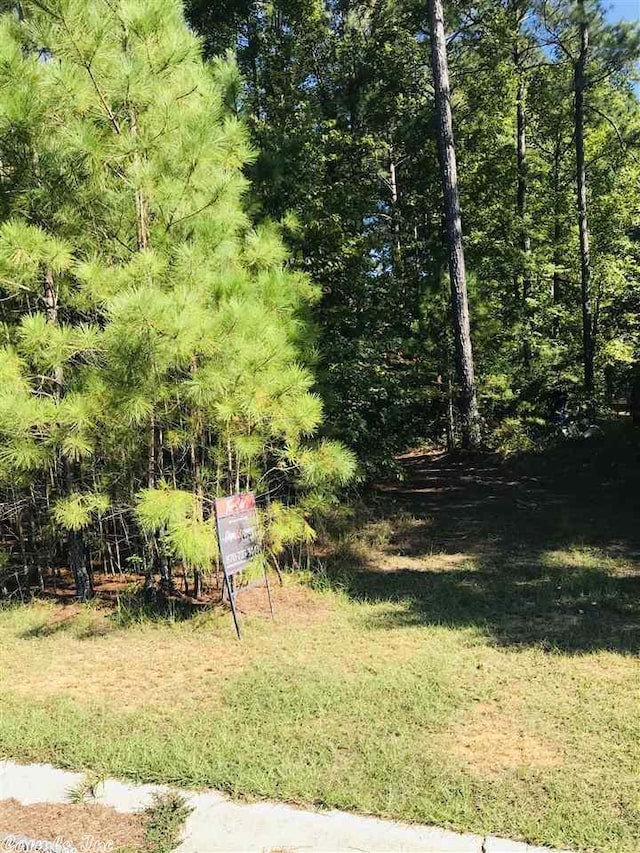 Address Not Disclosed, Monticello AR, 71655 land for sale