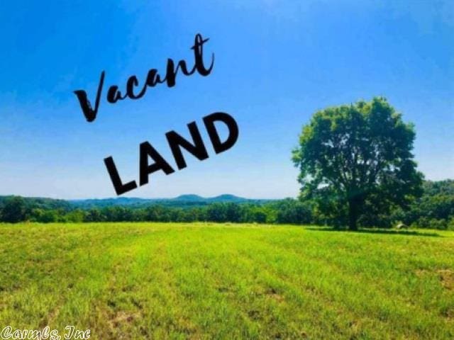 25401 Blue Gill, Roland AR, 72135 land for sale