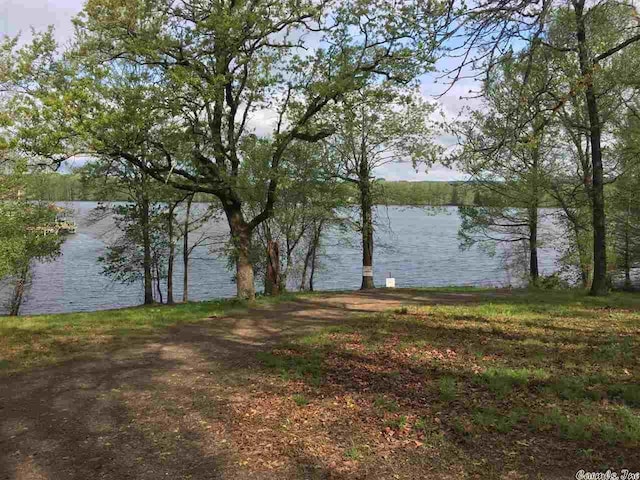 0 S Shore, Atkins AR, 72823 land for sale