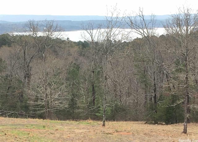 LOTS2,3 Buffalo Ridge, Edgemont AR, 70244 land for sale