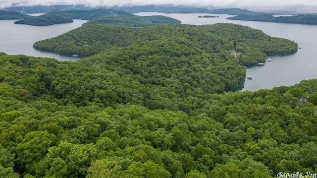 69 Jackson Rdg, Eureka Springs, AR 72631 - birds eye view of property with a water view