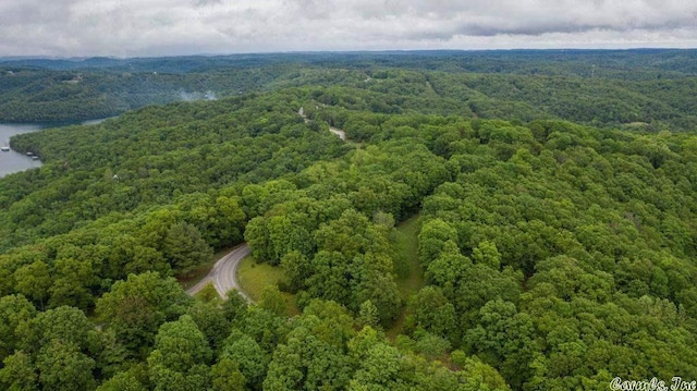 69 Jackson Rdg, Eureka Springs, AR 72631 - bird's eye view with a water view