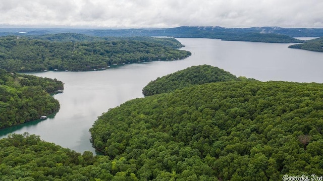 69 Jackson Rdg, Eureka Springs, AR 72631 - bird's eye view featuring a water view