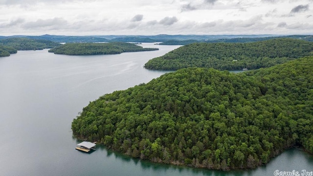 69 Jackson Rdg, Eureka Springs, AR 72631 - bird's eye view with a water view