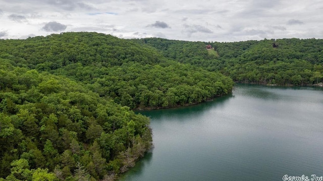 69 Jackson Rdg, Eureka Springs, AR 72631 - drone / aerial view with a water view