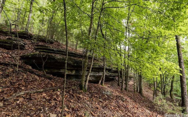 69 Jackson Rdg, Eureka Springs, AR 72631 - view of landscape