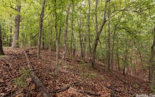 69 Jackson Rdg, Eureka Springs, AR 72631 - view of landscape
